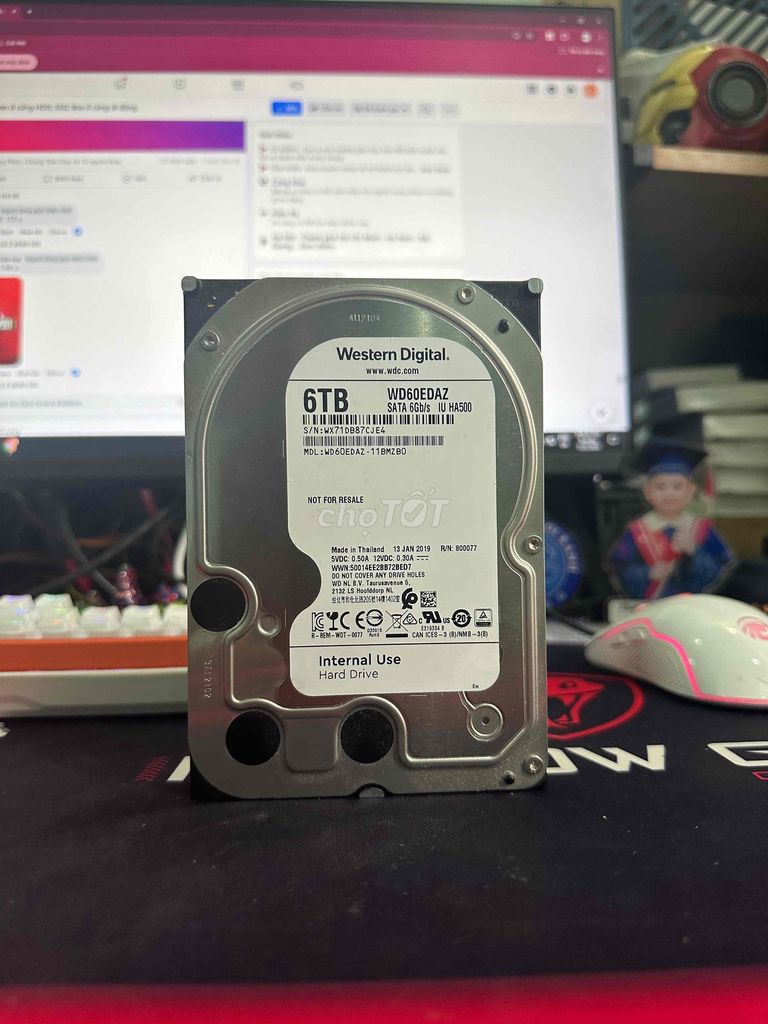 HDD WD 6TB SK 0%