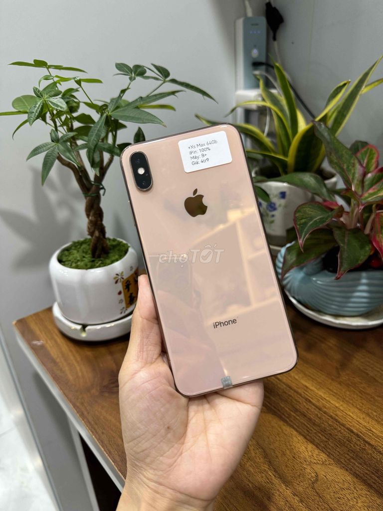 Apple iPhone Xs Max 64GB Vàng Đã sử dụng. Mua bán Điện thoại tại Huyện Hóc Môn Tp Hồ Chí Minh được đăng bởi Thu hình 1