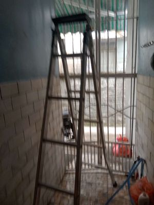 Thang chữ A minh duy. Mua bán Đồ chuyên dụng, Giống nuôi trồng tại Quận Thanh Khê Đà Nẵng được đăng bởi Long Nguyễn Trường