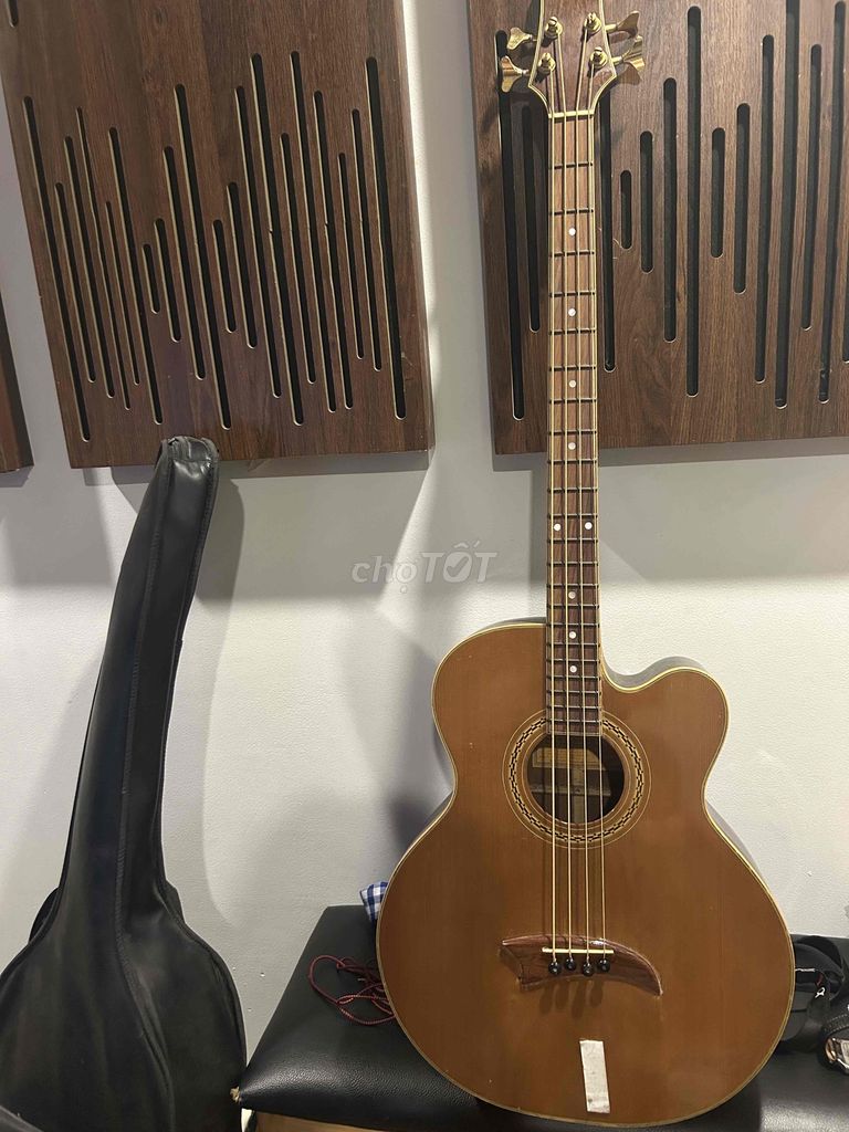 Guitar Bass Thùng