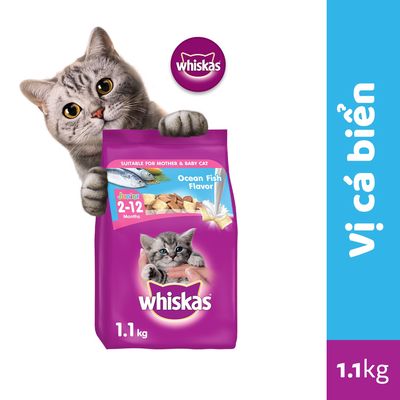 Thức ăn cho mèo con vị cá biển túi 1,1kg Whiskas