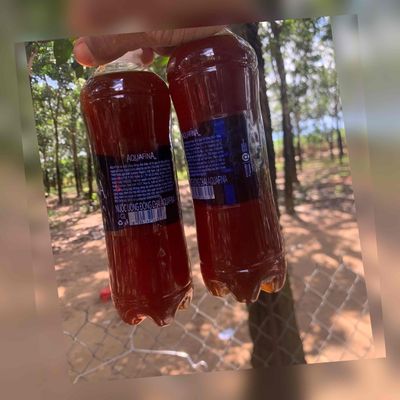 Mật ong ruồi rừng nguyên chất, mật già đặc biệt. Mua bán Đồ ăn, thực phẩm và các loại khác tại Huyện Xuân Lộc Đồng Nai được đăng bởi Trần Quốc Vinh