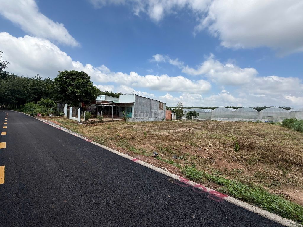 Bán 262m2+100TC mặt tiền nhựa nóng 8m, Sát bên THCS An Linh, giá:480tr. Mua bán đất tại Huyện Phú Giáo Bình Dương được đăng bởi Chí Thanh land hình 1