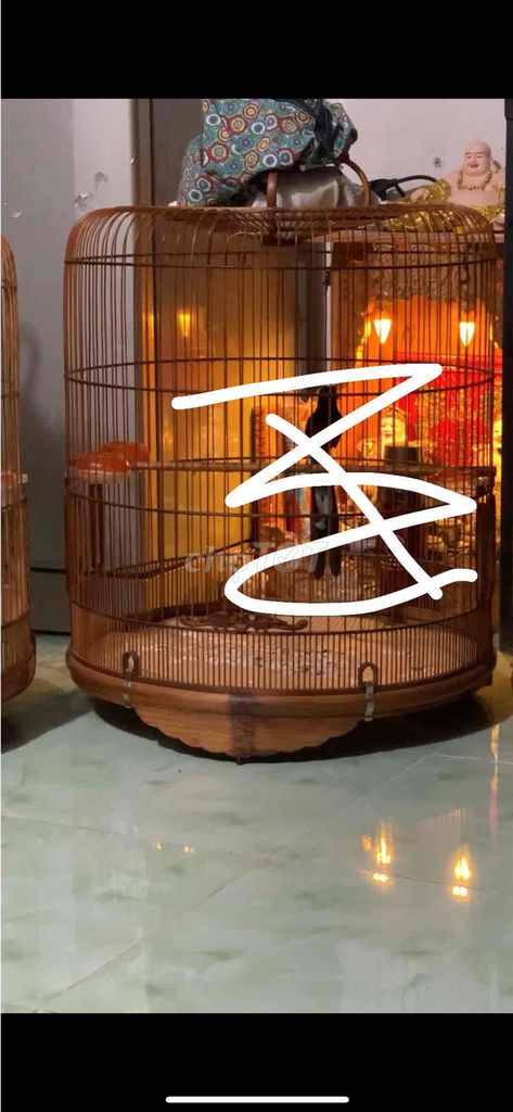 17+ bản lao lớn keo thuoc lao. Mua bán Chim tại Quận 12 Tp Hồ Chí Minh được đăng bởi Tấn Phong hình 1