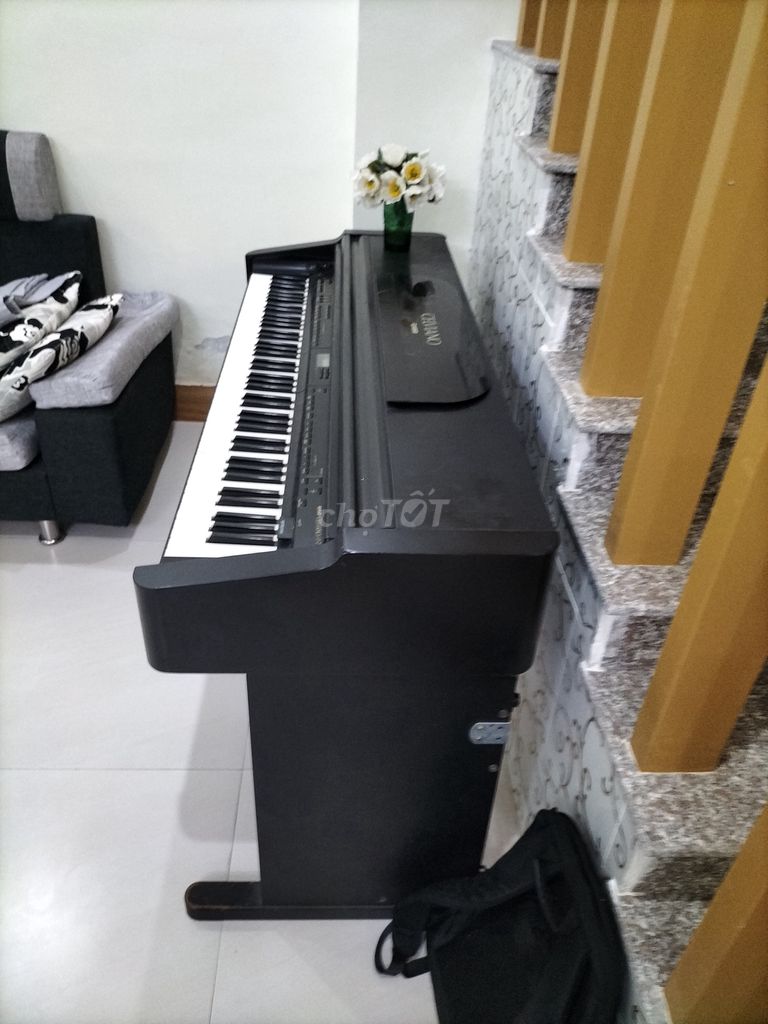 Bán đàn piano Casio Piano Celviano AP-7