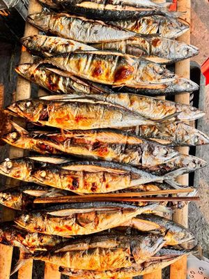 cá chẽn vôi nướng một lửa thơm dai thịt 52k/con. Mua bán Đồ ăn, thực phẩm và các loại khác tại Quận Đống Đa Hà Nội được đăng bởi Nguyễn Thị Hương