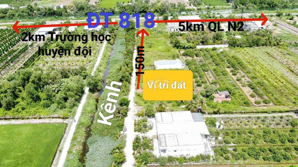 1000m2 thổ cư Thủ Thừa LA- SHCC- Đầu tư lâu dài hoặc xây nhà vườn. Mua bán đất tại Huyện Thủ Thừa Long An được đăng bởi TRẦN NGỌC TỰU hình 2