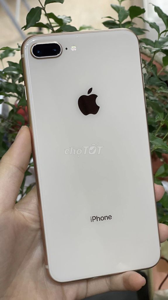 Apple iPhone 8 Plus 64GB hồng. Mua bán Điện thoại tại Quận 12 Tp Hồ Chí Minh được đăng bởi LE MAN DAT hình 1