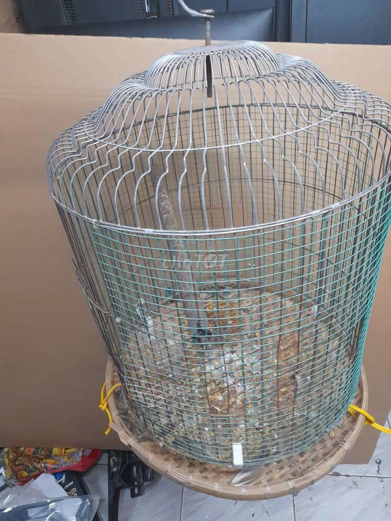 Lồng chim Kim loại Lớn nuôi sáo gà. Mua bán Phụ kiện, Thức ăn, Dịch vụ tại Quận Tân Phú Tp Hồ Chí Minh được đăng bởi gia ba hình 1