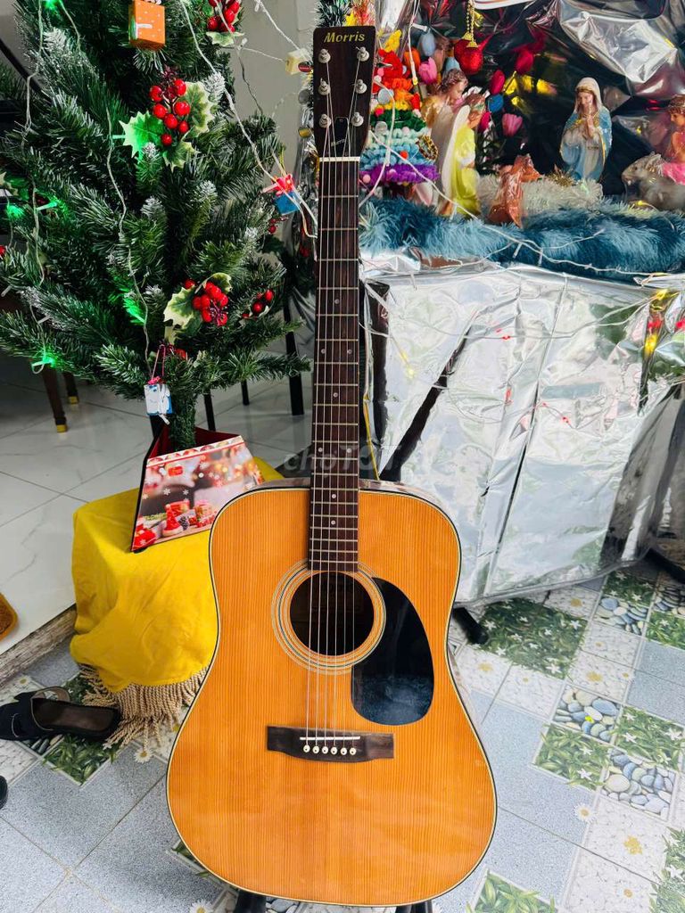 Xả hàng cuối năm Guitar acoustic Morris w15 giá rẻ