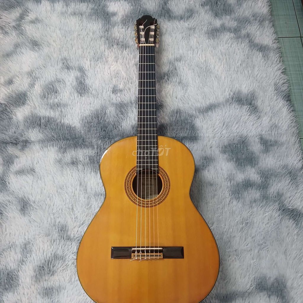 Guitar Classic Shinano concert guitar SC 20