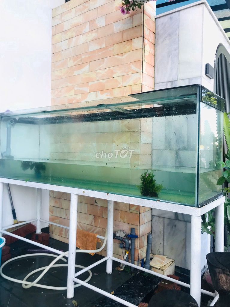 Bể cá kính cường lực 10ly, dài 1,83m x 0,4m x 0,5m. Mua bán Phụ kiện, Thức ăn, Dịch vụ tại Quận Sơn Trà Đà Nẵng được đăng bởi Mr Vương hình 1