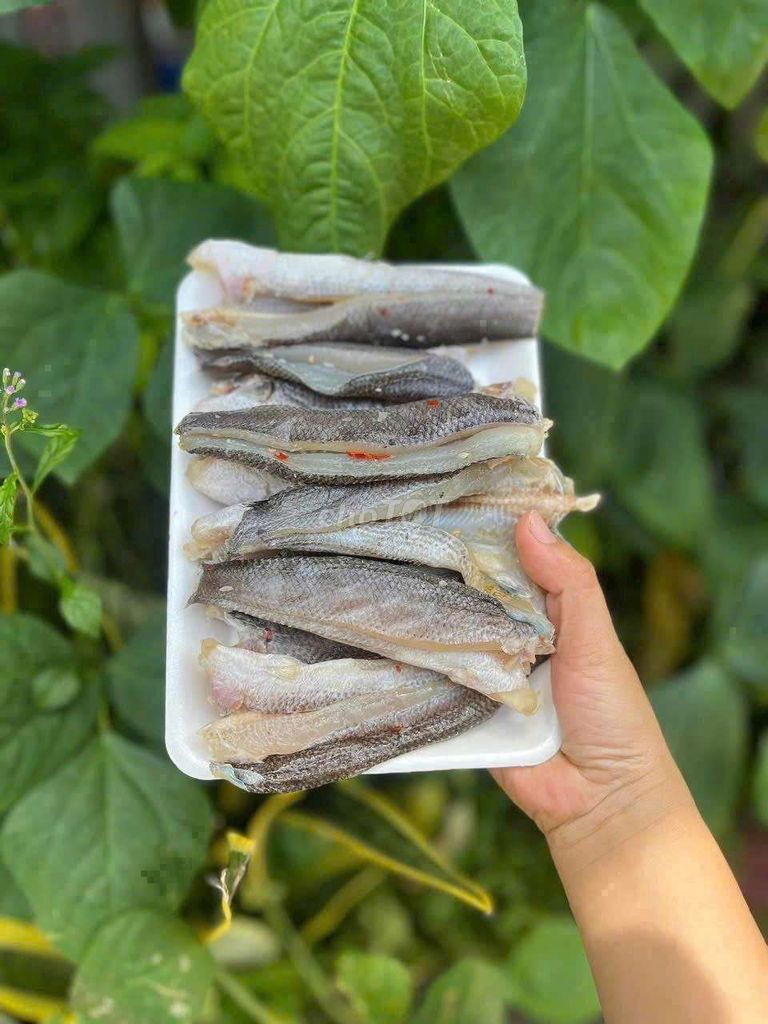 Khô cá lóc 1kg. Mua bán Đồ ăn, thực phẩm và các loại khác tại Quận Phú Nhuận Tp Hồ Chí Minh được đăng bởi Hà Nhi Cao hình 1