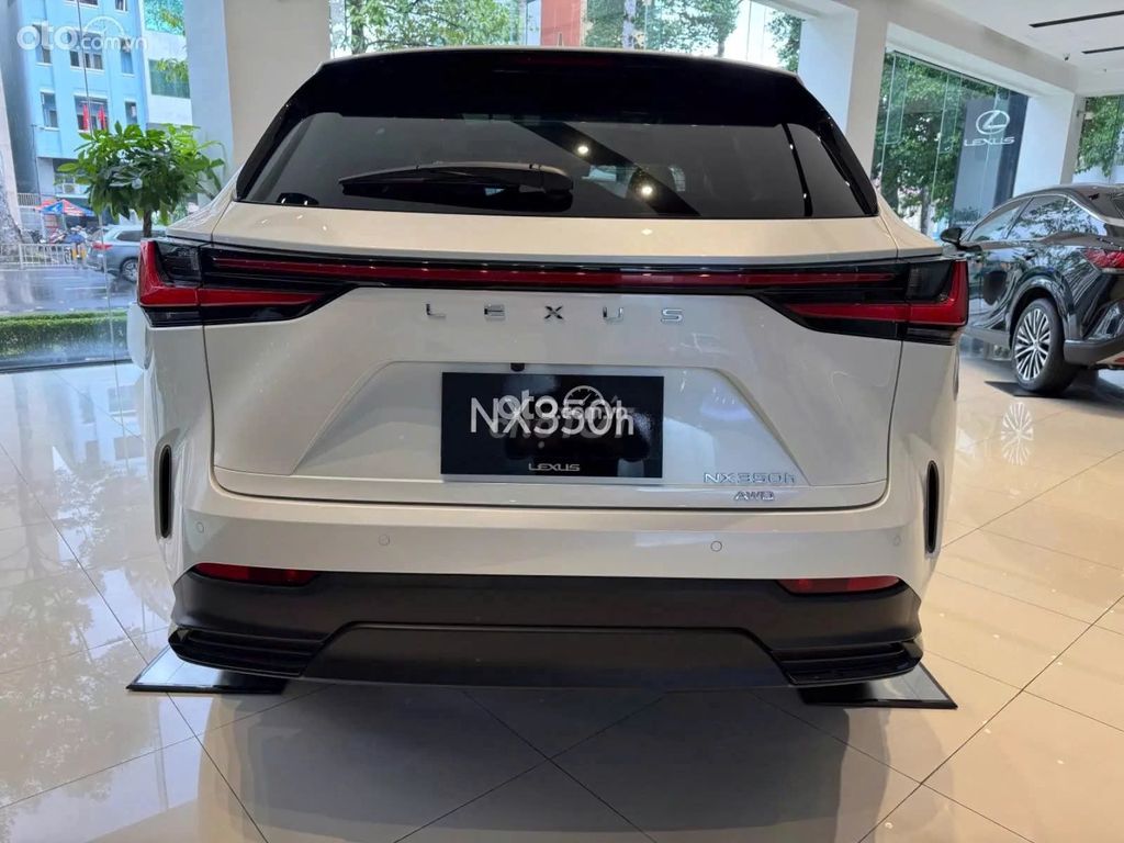 Ảnh số 2