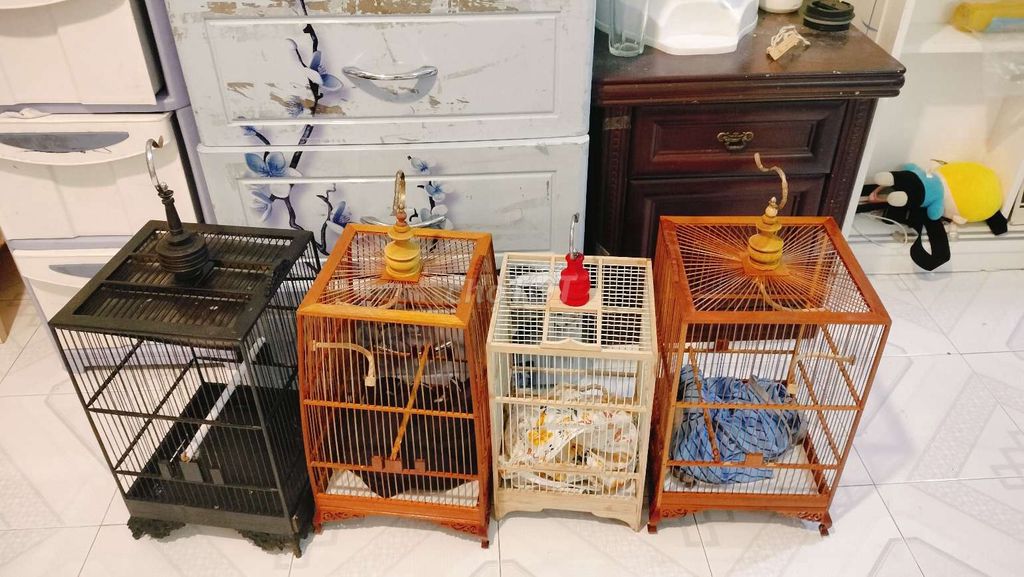 tl 4 cây lồng không lỗi lầm. Mua bán Phụ kiện, Thức ăn, Dịch vụ tại Quận 8 Tp Hồ Chí Minh được đăng bởi Trung hình 1