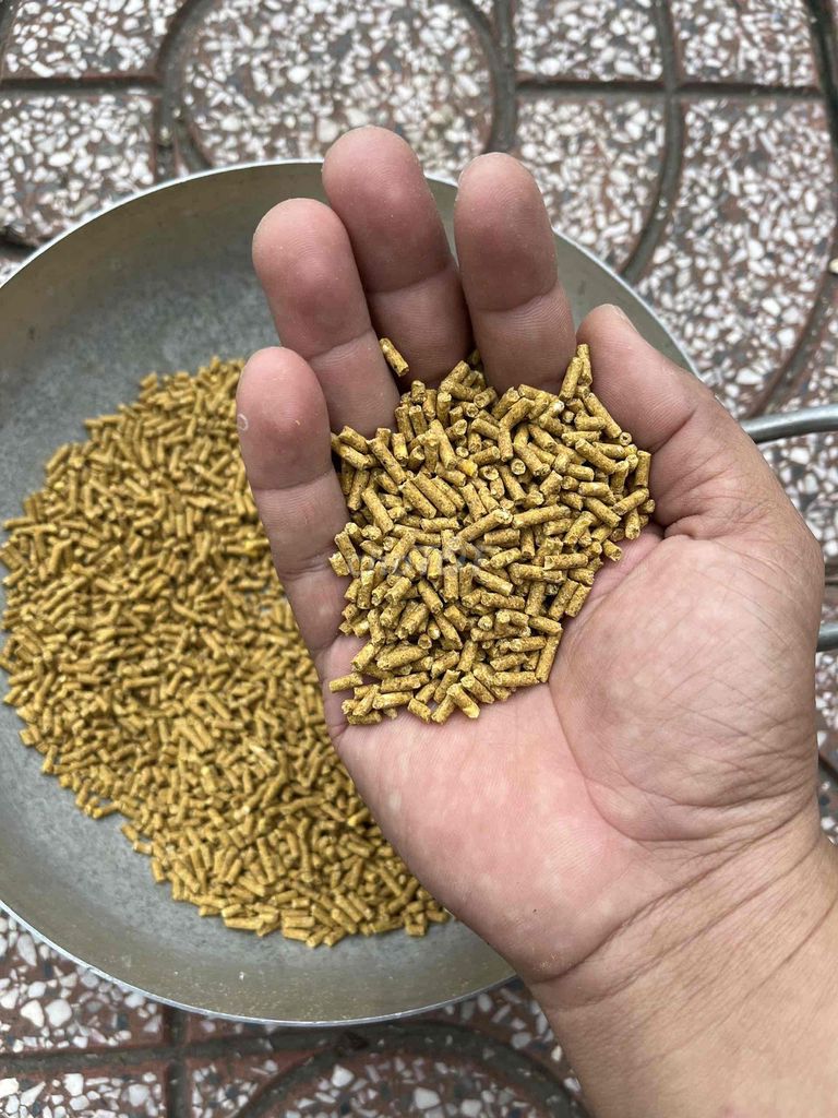 Thức ăn gà Tỏi. Mua bán Phụ kiện, Thức ăn, Dịch vụ tại Huyện Long Hồ Vĩnh Long được đăng bởi hien hình 1