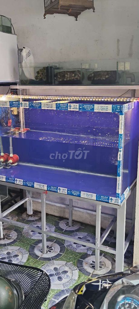 Hồ Cá full đầy đủ.. Mua bán Phụ kiện, Thức ăn, Dịch vụ tại Huyện Trảng Bàng Tây Ninh được đăng bởi CÁ CẢNH TB hình 2