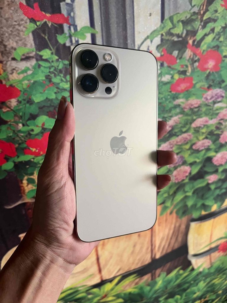 Apple iPhone 13 Pro Max 128GB Vàng 85%. Mua bán Điện thoại tại Quận Bình Tân Tp Hồ Chí Minh được đăng bởi nguyen van vu hình 1