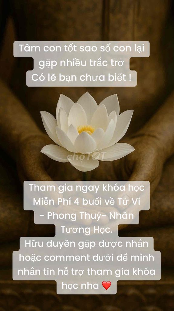 MIỄN PHÍ 4 buổi học online Tử Vi- Nhân Tướng Học. Dịch vụ tại Huyện Gia Lâm Hà Nội được đăng bởi Nguyễn Thu Tuyết hình 1