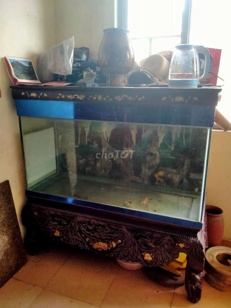 Thanh lý bộ Bể Cá Cảnh. Mua bán Phụ kiện, Thức ăn, Dịch vụ tại Quận Ba Đình Hà Nội được đăng bởi Trần Công Định hình 1