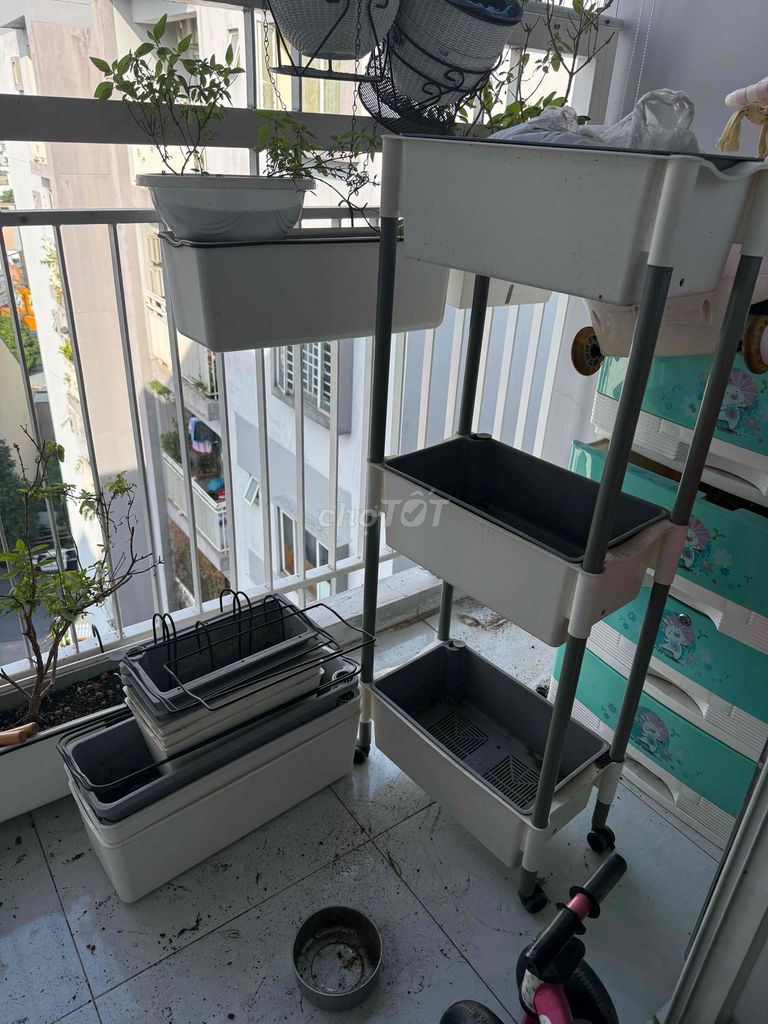Kệ trồng cây Nhựa Trắng, Xám có bánh xe. Mua bán Cây cảnh, đồ trang trí tại Quận Tân Phú Tp Hồ Chí Minh được đăng bởi Nguyễn Xuân Huỳnh My hình 1