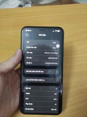 Apple iPhone 11 Pro Max 256GB Xám