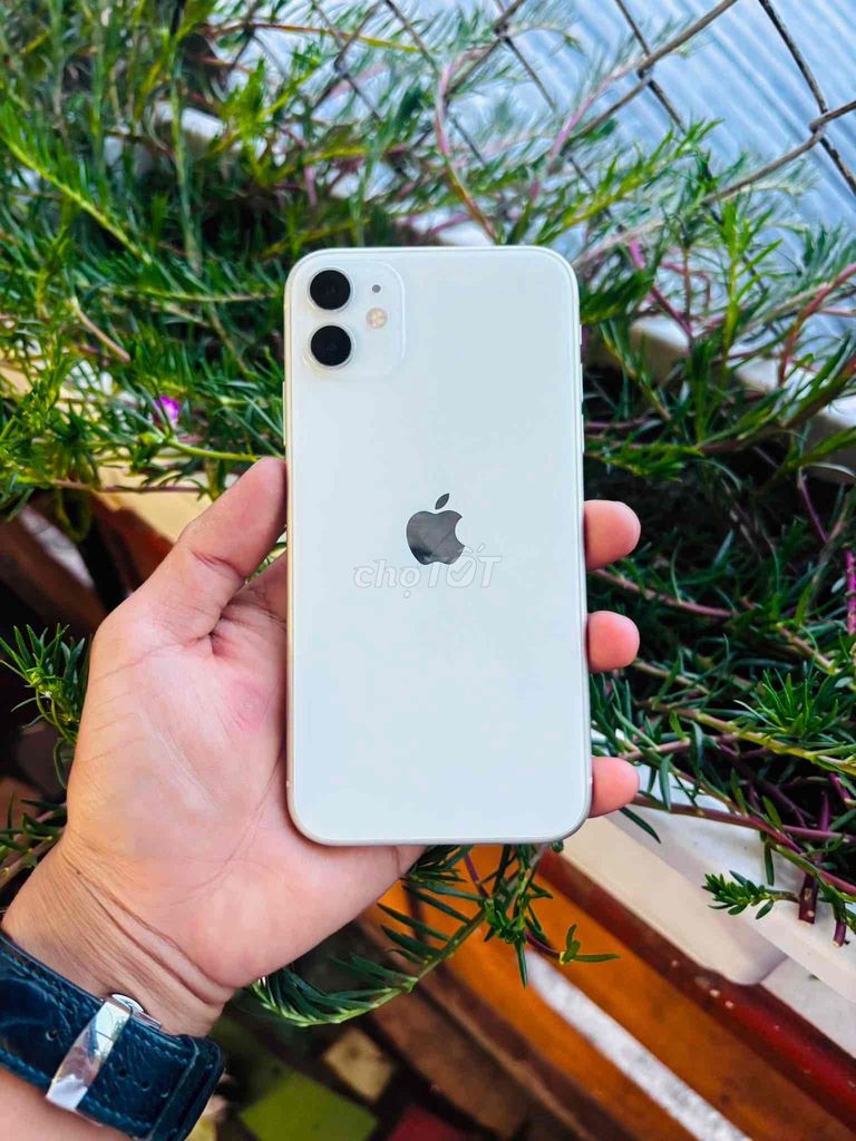 Apple iPhone 11 64GB Trắng Quốc tế. Mua bán Điện thoại tại Thành phố Huế Thừa Thiên Huế được đăng bởi Thanh Phan hình 1