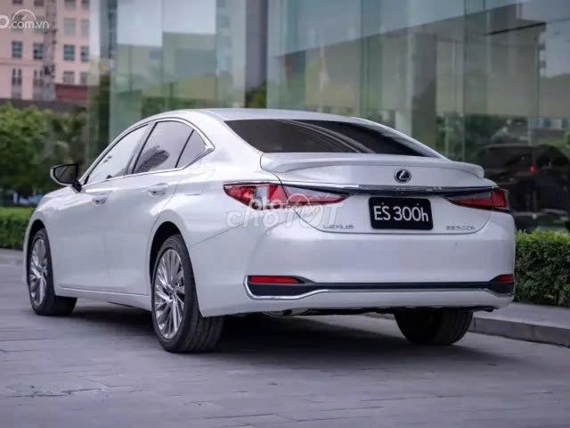 Ảnh số 4