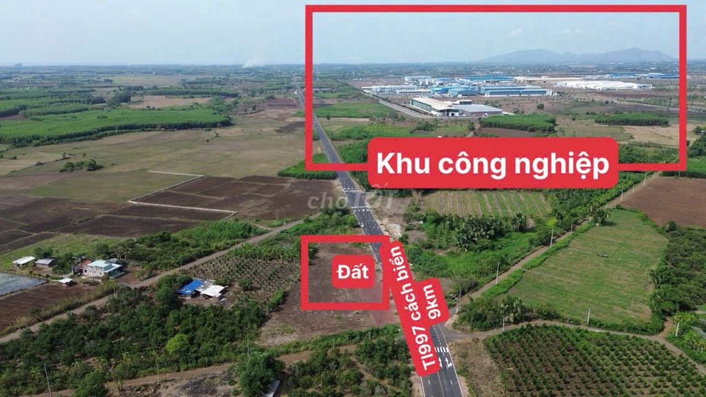 BÁN ĐẤT MT ĐƯỜNG TL997 GIÁP KCN ĐẤT ĐỎ HUYỆN LONG ĐẤT 6*50 Có 80 ĐẤT Ở