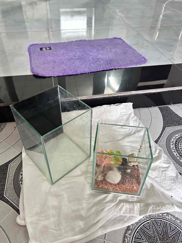 Hồ kính mini. Mua bán Phụ kiện, Thức ăn, Dịch vụ tại Huyện Hóc Môn Tp Hồ Chí Minh được đăng bởi Bảo hình 1