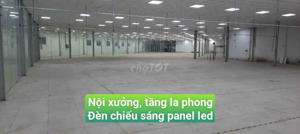 👑 CHO THUÊ KHO XƯỞNG DT 3100M2 GIÁ 210TR TRỊNH NHƯ KHUÊ BÌNH CHÁNH