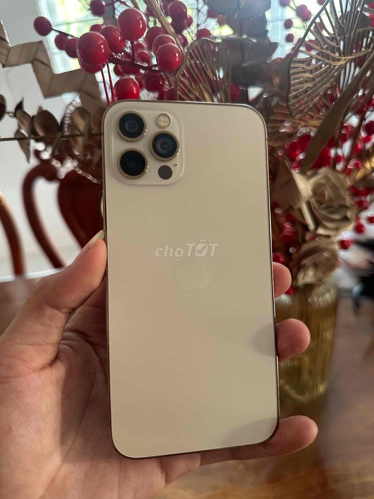 12pro 128G zin đẹp k lỗi. Mua bán Điện thoại tại Thị xã Kiến Tường Long An được đăng bởi sinnnn hình 1