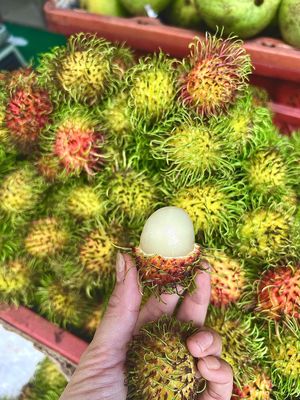 Chôm chôm Thái Tiến Cường siêu ngọt