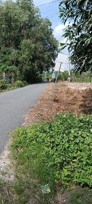 Cho thuê nhà 1 PN, 1Pk, 1 bếp, 1P Vs, 1p tắm. Cho thuê nhà ở tại Thị xã Phú Mỹ Bà Rịa - Vũng Tàu được đăng bởi Thu Huong