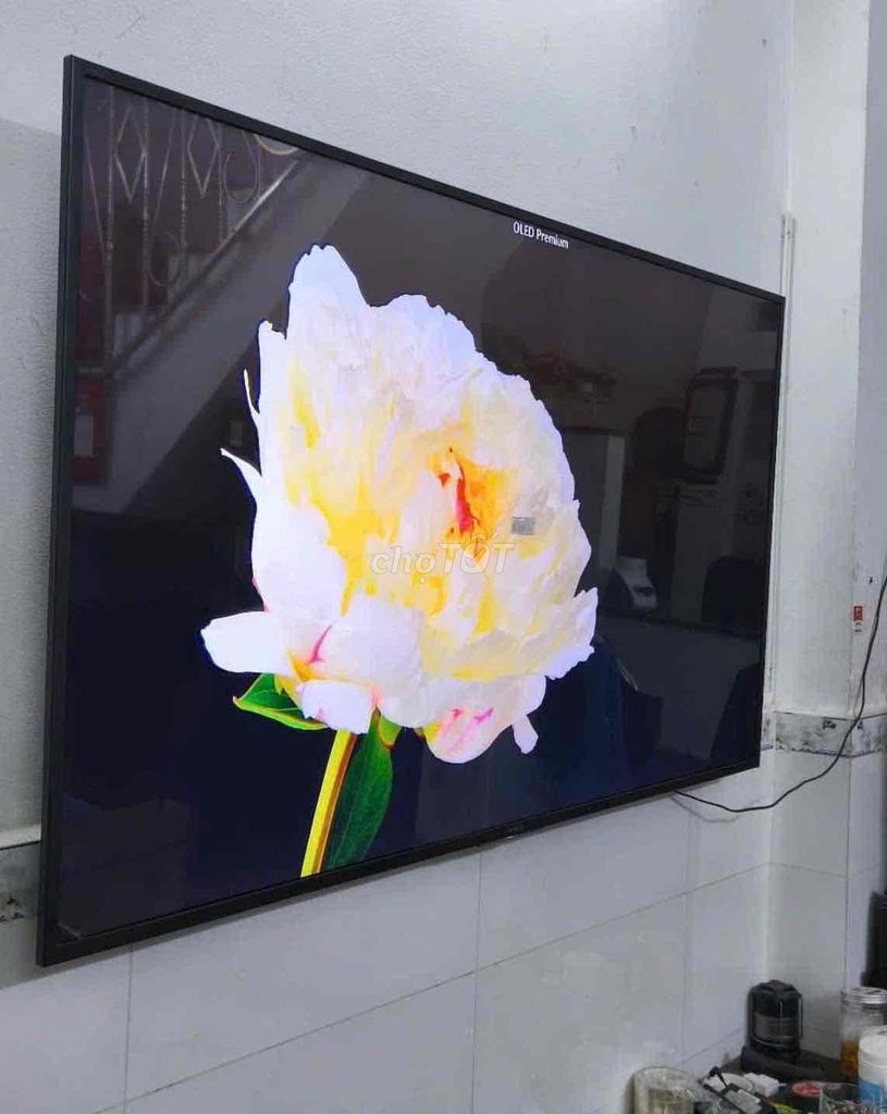 Trả nhà đi thuê phòng nhỏ bán lg 55in 4k zin đẹp