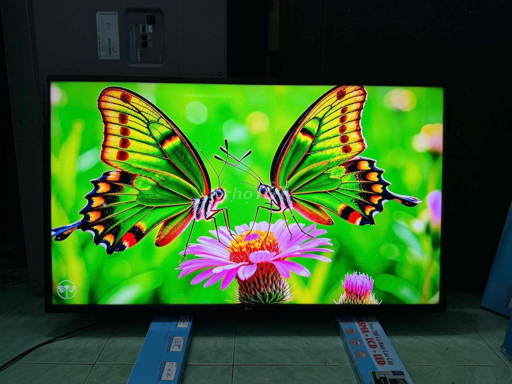 Tivi LG 43UM7300 4K WebOS. Mua bán Tivi, Âm thanh tại Quận Gò Vấp Tp Hồ Chí Minh được đăng bởi Tran Dao Quynh Anh hình 1