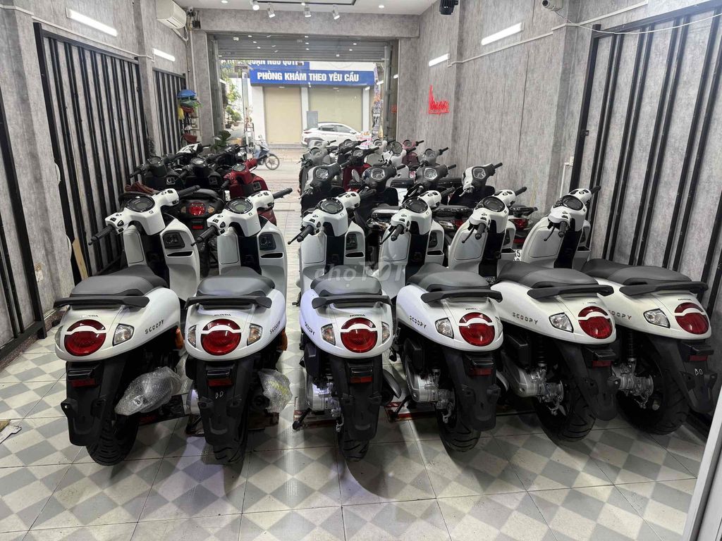 Honda Scoopy 2025 nhập indo xe mới 100% #3x triệu. Mua bán Xe máy tại Quận Ngô Quyền Hải Phòng được đăng bởi Dương Vũ hình 4