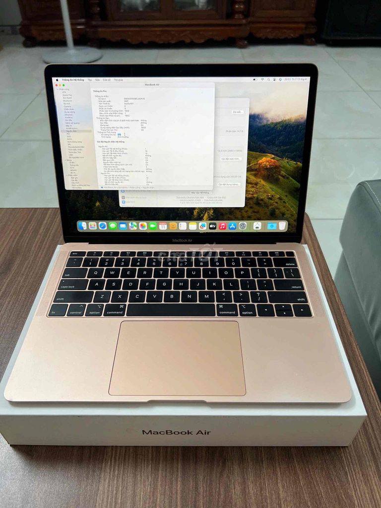 Dư xài nên pass lại giá rẻ Mac 2019 - 256GB. Mua bán Laptop tại Quận 3 Tp Hồ Chí Minh được đăng bởi Dinh Nguyen hình 1