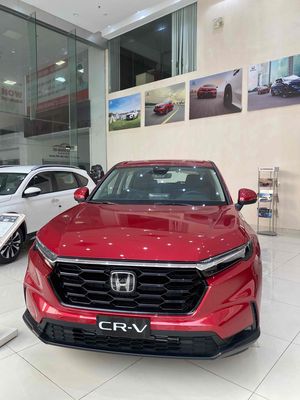Honda CRV-G 2024 - 7 chỗ - Đỏ - Tự động - 0km
