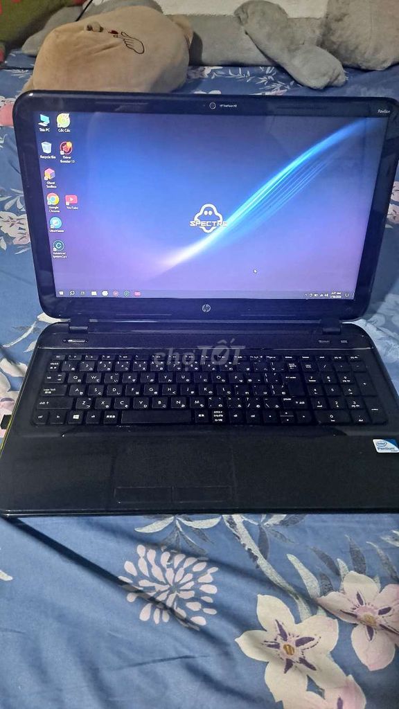 HP Pentium 4GB/SSD 120GB Đen Like New. Mua bán Laptop tại Thành phố Thuận An Bình Dương được đăng bởi hiep hình 1