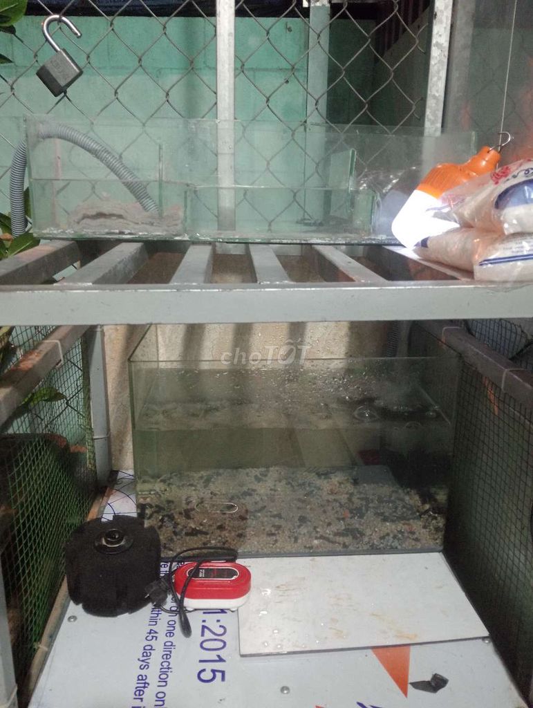 Bộ lọc hồ cá Kính Lọc tràn vành cong. Mua bán Phụ kiện, Thức ăn, Dịch vụ tại Huyện Củ Chi Tp Hồ Chí Minh được đăng bởi Thuốc Nuôi Trị Bệnh Kích Đá hình 1