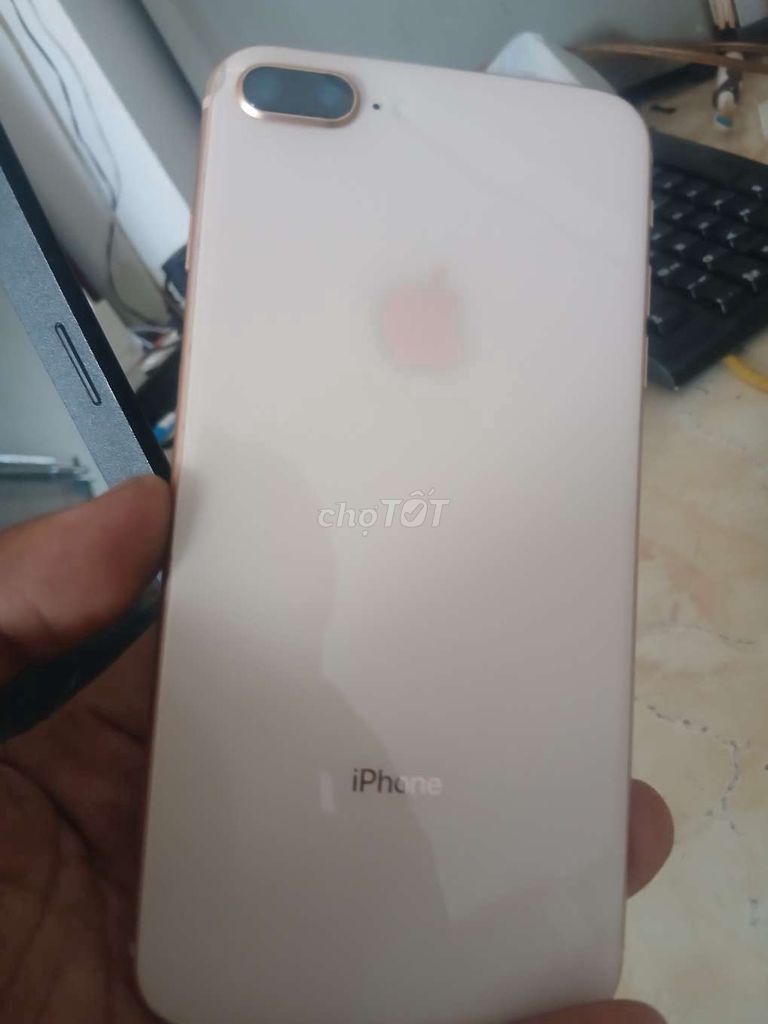 iPhone 8 Plus Vàng hồng. Mua bán Điện thoại tại Quận 3 Tp Hồ Chí Minh được đăng bởi Tuan hình 1