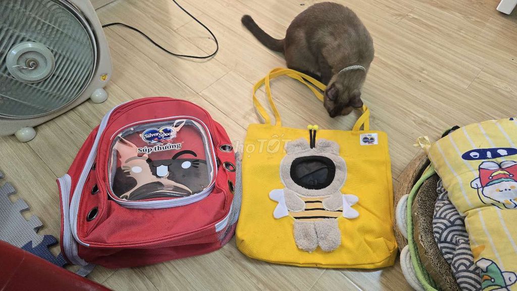 2 túi vận chuyển mèo. Mua bán Phụ kiện, Thức ăn, Dịch vụ tại Quận 3 Tp Hồ Chí Minh được đăng bởi Quỳnh Anh hình 1
