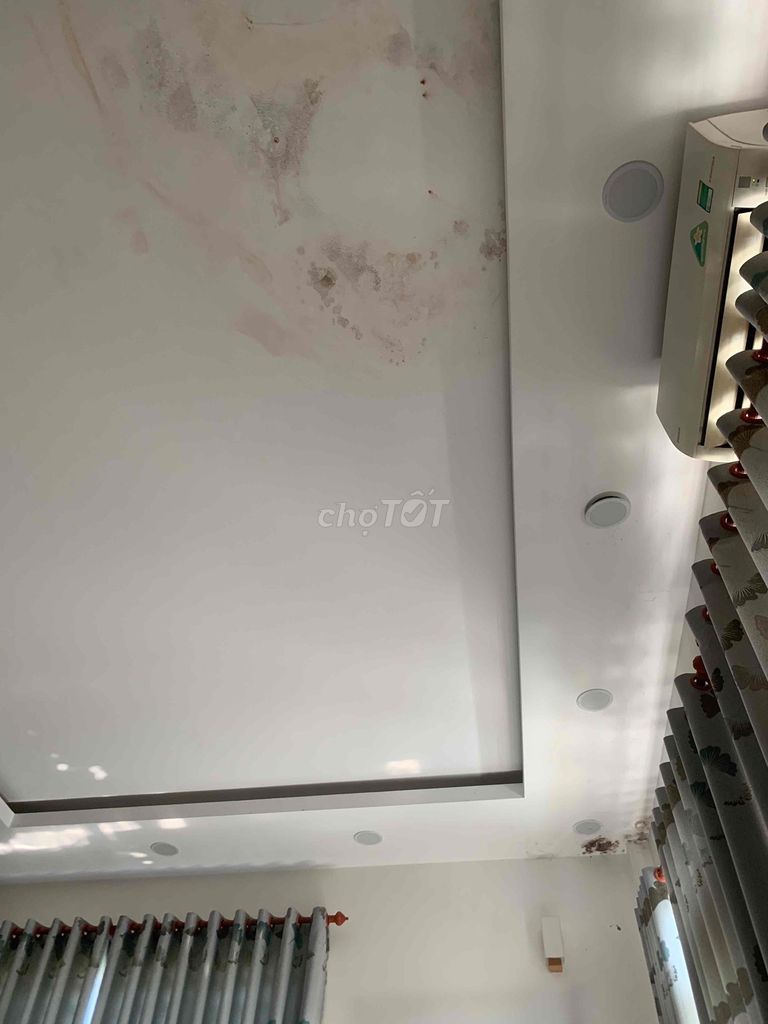 tìm mua 2cặp bo câu titan sinh sản kv ninh kiều. Mua bán Chim tại Quận Ninh Kiều Cần Thơ được đăng bởi Vothilehuyen hình 1