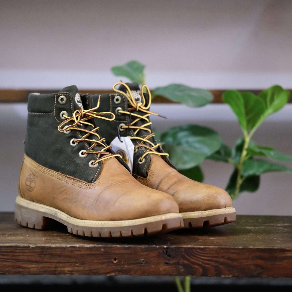 Giày nam Timberland