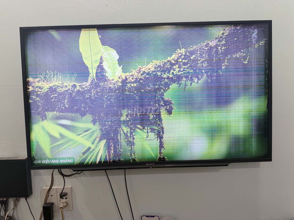 Tivi Sony 48 inch Đã qua sử dụng. Mua bán Tivi, Âm thanh tại Quận Tân Phú Tp Hồ Chí Minh được đăng bởi mai trần hình 1