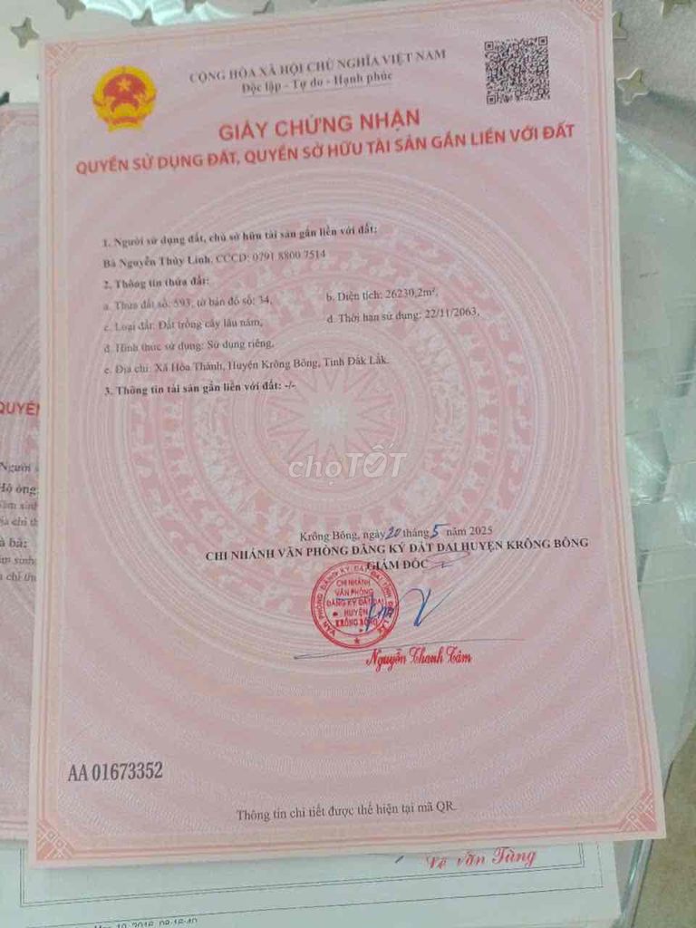 Cần bán rẻ 2 lô đất cafe' 2 mặt tiền siêu dài ở Hoà Thành, Krong Bông