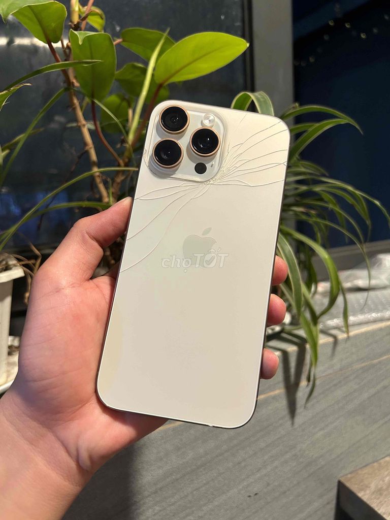 16 Promax 256G VN/A pin 89% lưng nức zin chuẩn. Mua bán Điện thoại tại Quận Bình Tân Tp Hồ Chí Minh được đăng bởi KHANG VÕ  hình 1