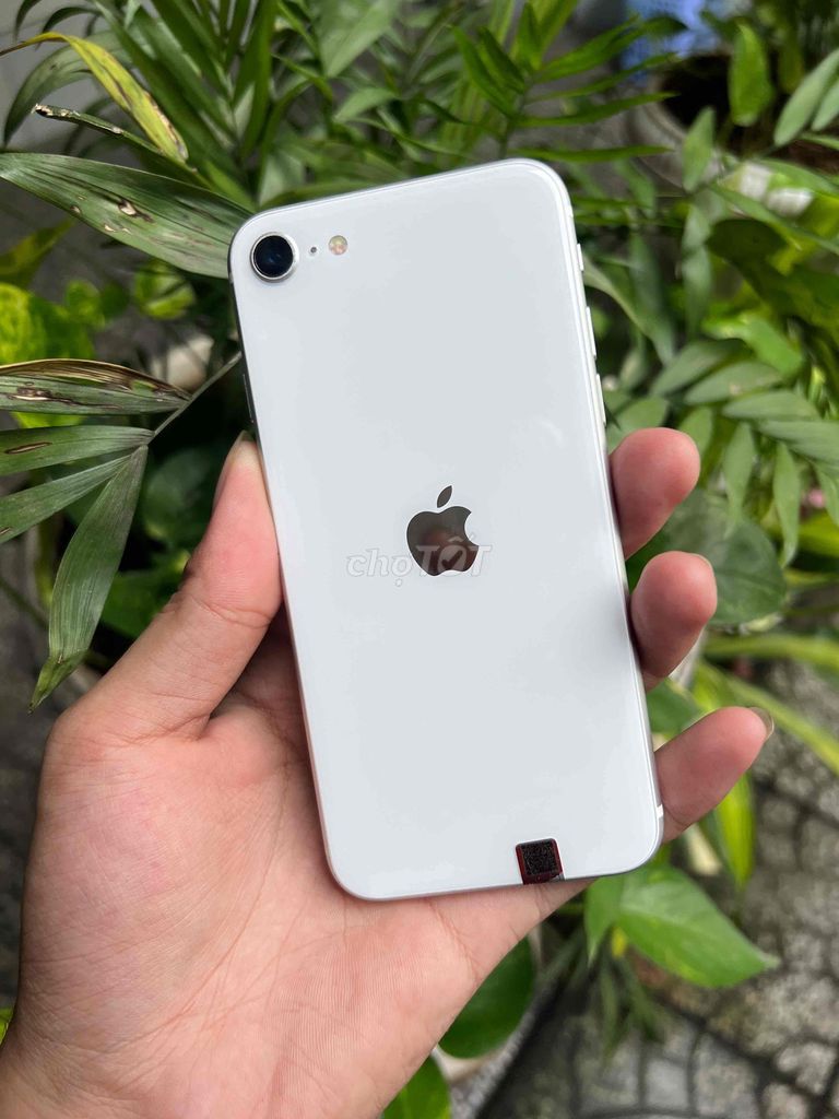 Apple iPhone SE 2020 64GB Trắng. Mua bán Điện thoại tại Quận Ninh Kiều Cần Thơ được đăng bởi AT hình 1