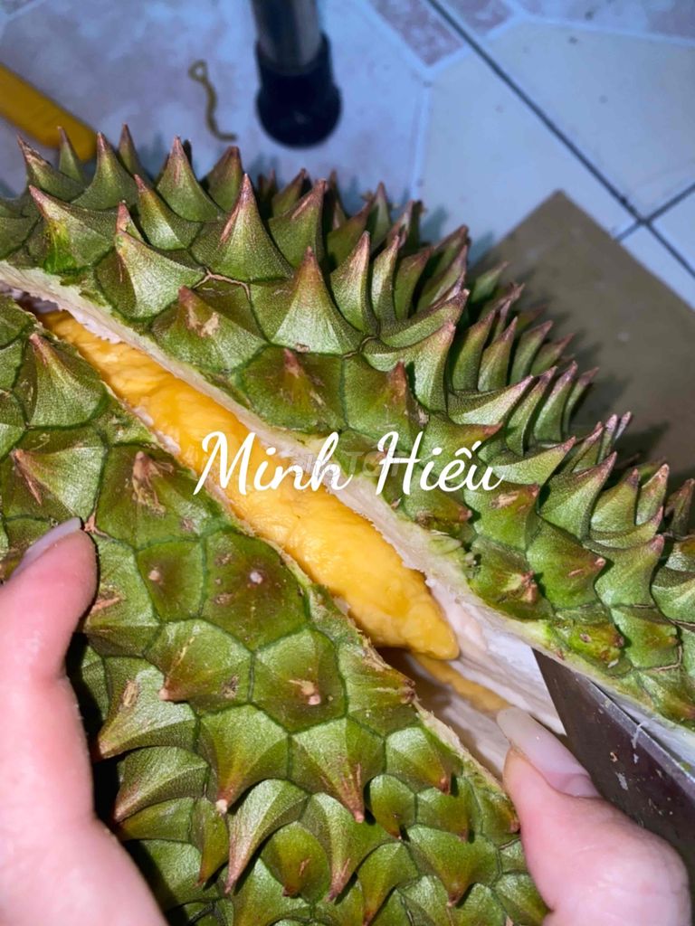 sầu riêng hạt lép Cái Mơn. Mua bán Đồ ăn, thực phẩm và các loại khác tại Quận Gò Vấp Tp Hồ Chí Minh được đăng bởi Minh Hiếu hình 2